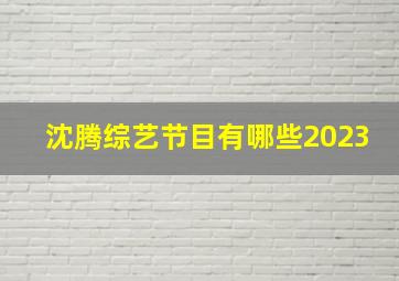 沈腾综艺节目有哪些2023