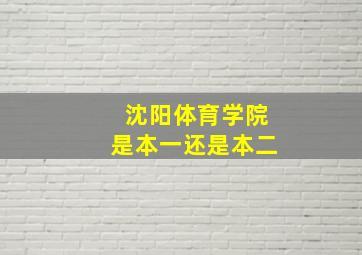 沈阳体育学院是本一还是本二