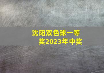 沈阳双色球一等奖2023年中奖