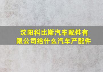 沈阳科比斯汽车配件有限公司给什么汽车产配件