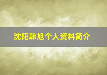 沈阳韩旭个人资料简介