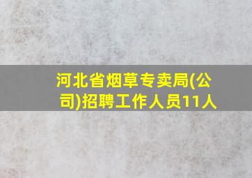 河北省烟草专卖局(公司)招聘工作人员11人