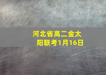 河北省高二金太阳联考1月16日