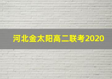 河北金太阳高二联考2020