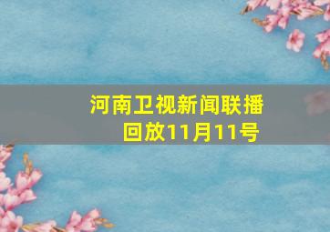 河南卫视新闻联播回放11月11号