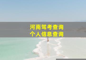 河南驾考查询个人信息查询