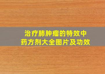 治疗肺肿瘤的特效中药方剂大全图片及功效