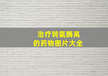 治疗转氨酶高的药物图片大全