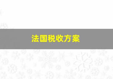 法国税收方案