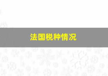 法国税种情况