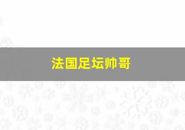 法国足坛帅哥