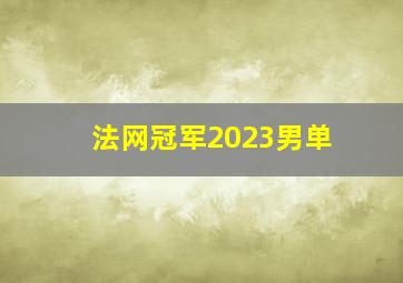 法网冠军2023男单