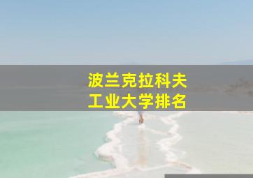 波兰克拉科夫工业大学排名