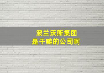 波兰沃斯集团是干嘛的公司啊