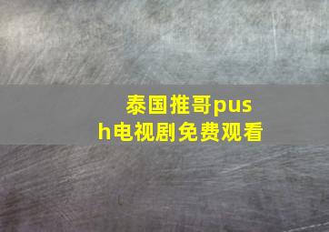 泰国推哥push电视剧免费观看