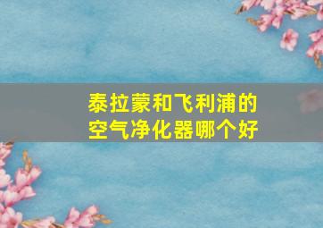 泰拉蒙和飞利浦的空气净化器哪个好