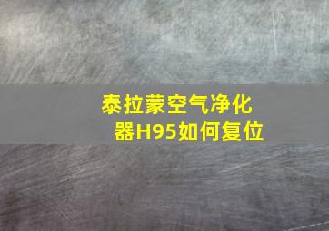 泰拉蒙空气净化器H95如何复位