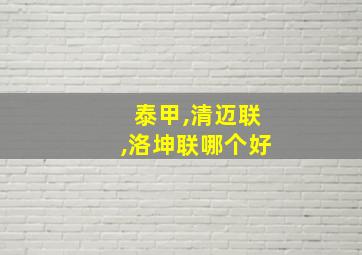 泰甲,清迈联,洛坤联哪个好