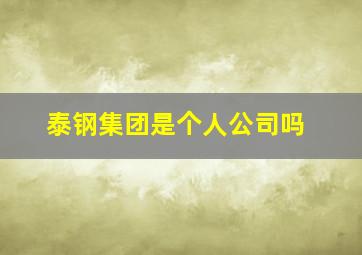 泰钢集团是个人公司吗