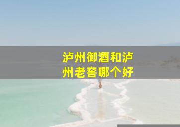 泸州御酒和泸州老窖哪个好