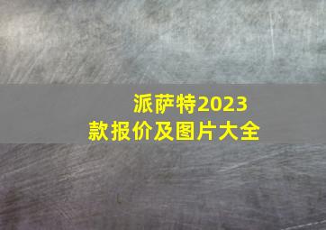 派萨特2023款报价及图片大全