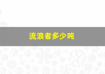 流浪者多少吨