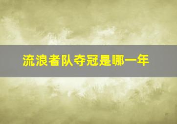 流浪者队夺冠是哪一年