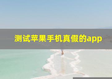 测试苹果手机真假的app