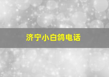 济宁小白鸽电话