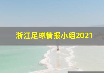 浙江足球情报小组2021