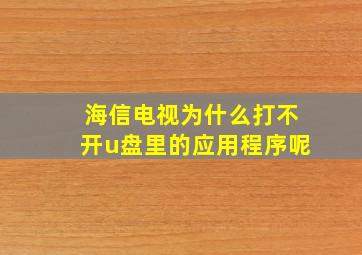 海信电视为什么打不开u盘里的应用程序呢