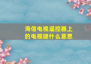 海信电视遥控器上的电视键什么意思