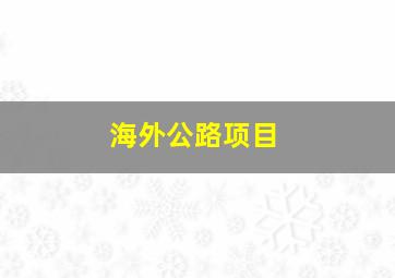 海外公路项目