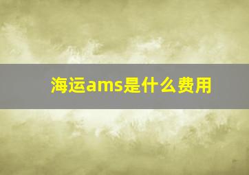 海运ams是什么费用