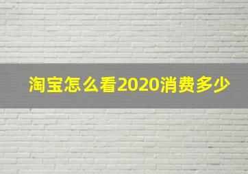 淘宝怎么看2020消费多少