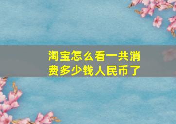 淘宝怎么看一共消费多少钱人民币了