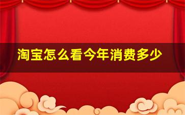 淘宝怎么看今年消费多少