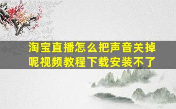 淘宝直播怎么把声音关掉呢视频教程下载安装不了