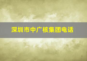 深圳市中广核集团电话