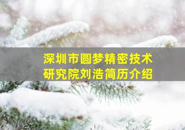 深圳市圆梦精密技术研究院刘浩简历介绍