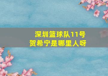 深圳篮球队11号贺希宁是哪里人呀