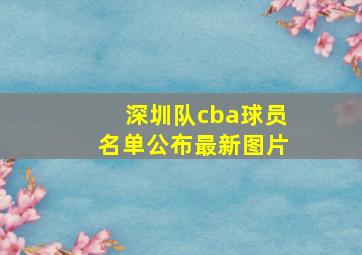 深圳队cba球员名单公布最新图片