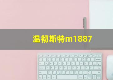 温彻斯特m1887