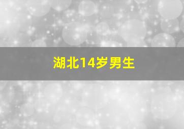 湖北14岁男生