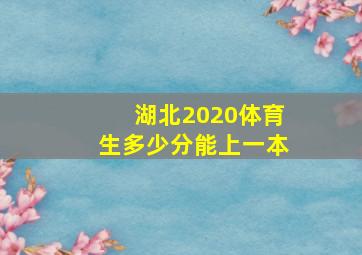 湖北2020体育生多少分能上一本