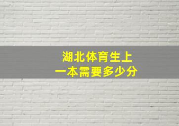 湖北体育生上一本需要多少分