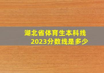 湖北省体育生本科线2023分数线是多少