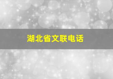 湖北省文联电话