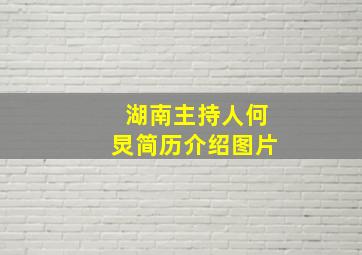 湖南主持人何炅简历介绍图片