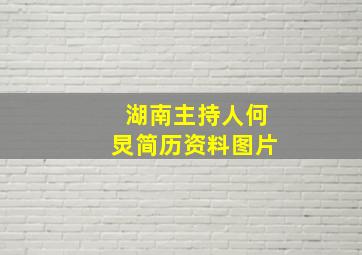 湖南主持人何炅简历资料图片